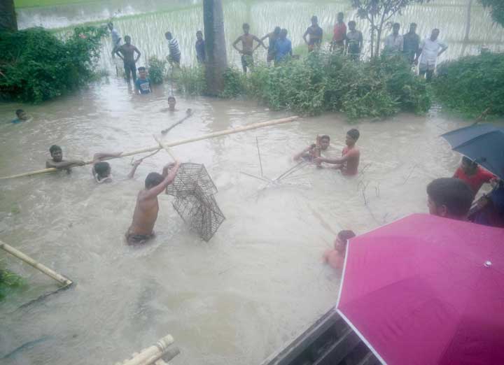 নাটোরের সিংড়ায় স্বেচ্ছাশ্রমে বাঁধ ও সুতিজাল উচ্ছেদ, জাল জব্দ।