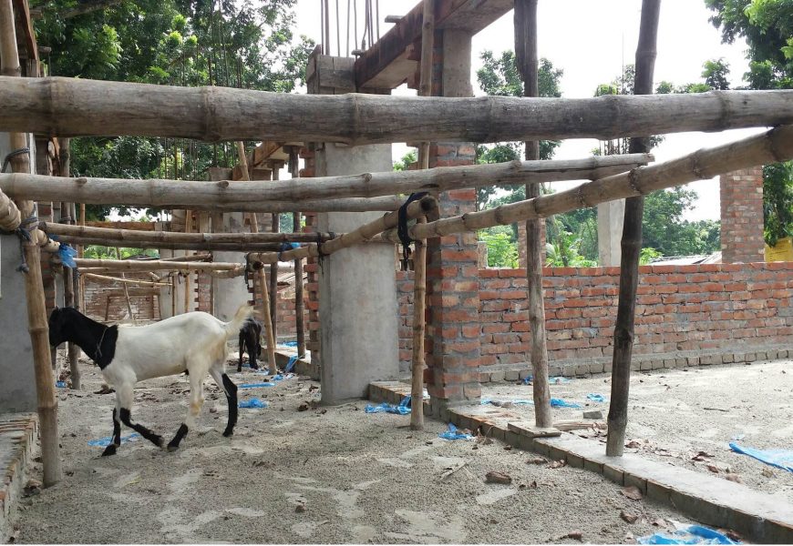 নাটোরে এক ভবনে ‘দুই ফাউন্ডেশন’ কার্যাদেশ; নির্মাণকাজ বন্ধ