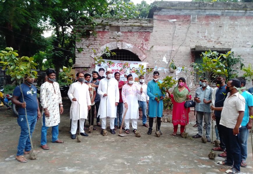 নাটোর শহরে এক হাজার গাছ লাগাচ্ছে স্বেচ্ছাসেবক লীগ 