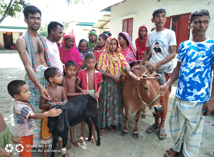 নাটোরে প্রধানমন্ত্রীর নামে পশু কুরবাণী দিবে ৫২ ভুমিহীন পরিবার