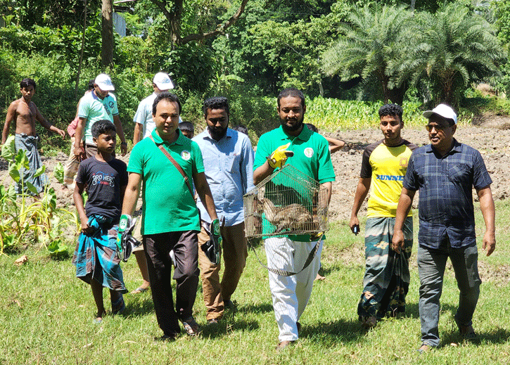 সিংড়ায় বিরল প্রজাতির বাগডাশ উদ্ধার