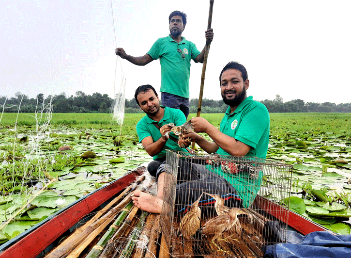 শিকারির ফাঁদ থেকে ছাড়া পেয়ে ৫ বক ডানা মেলে উড়ে গেল