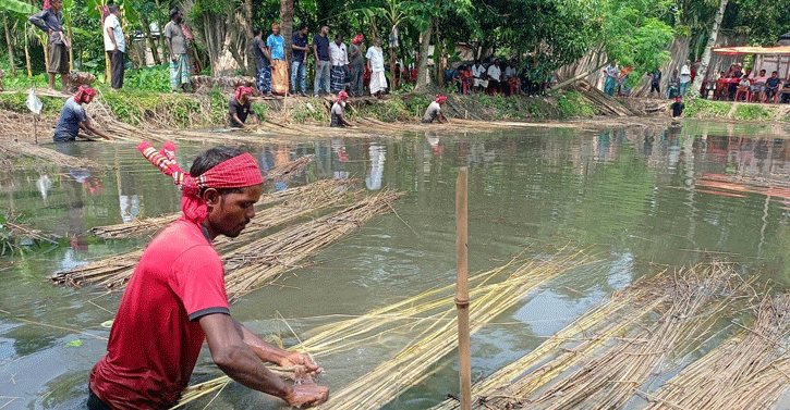 পাটের আঁশ ছাড়ানো প্রতিযোগিতা