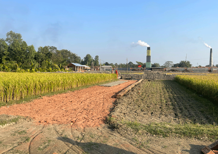 কৃষকের জমি দখল করে প্রভাবশালীর রাস্তা নির্মাণ