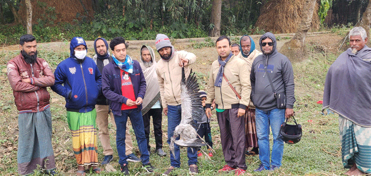 সিংড়ায় গুলিবিদ্ধ পাখি উদ্ধার