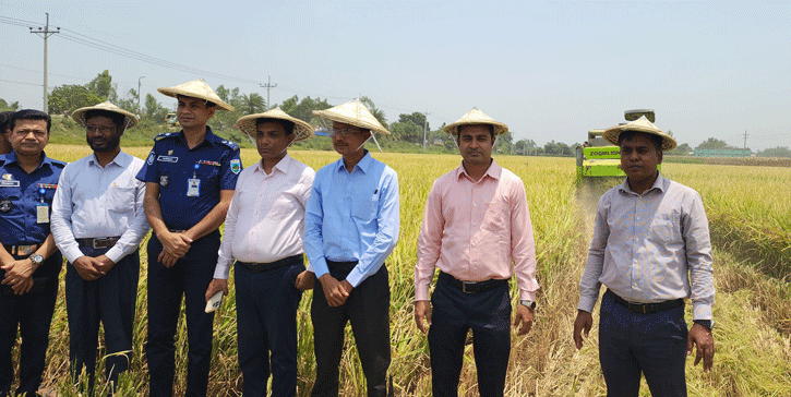 সিংড়ায় ধান কর্তন উদ্বোধন করলেন ডিসি