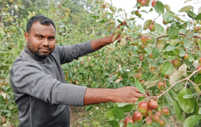 তরুণ কৃষি উদ্যোক্তা রাকিবুল ইসলামের সফলতার গল্প