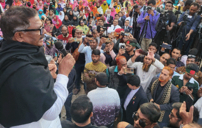 বাংলাদেশে সনাতন ধর্মের লোকেরা ভালো আছেন, নিরাপদে আছে:দুলু