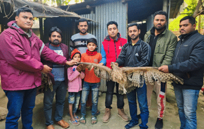 গুরুদাসপুরে গুলিবিদ্ধ ভুবন চিল উদ্ধার